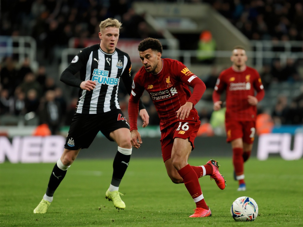 追逐梦想 追逐梦想