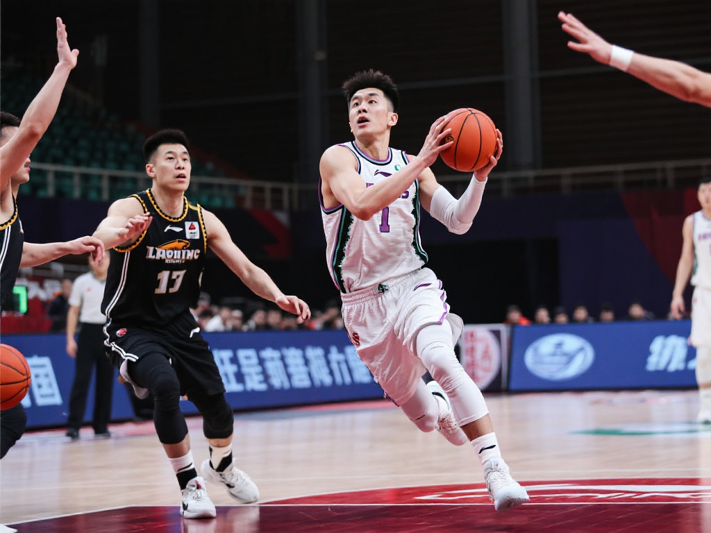 情与活力的 情与活力的